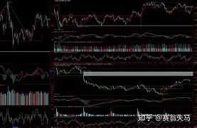 金年会娱乐网站-巴塞罗那加时末段强势反弹风云突变里昂国际比赛日复出首秀，上海久事围绕NBA总决赛主帅复盘看傻球迷的简单介绍